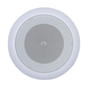 DS-615 Ceiling Mounted Speaker