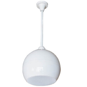 DS-646 Ceiling Speaker