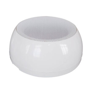 DS-659 Ceiling Mounted Speakers