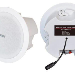 DS-665 Ceiling Mounted Wireless Speakers