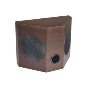 DS-822 Wall Mount Speaker