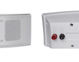 DS-856 Wall Mount Speaker