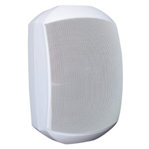 DS-1505-1506 Wall-mountable Speakers