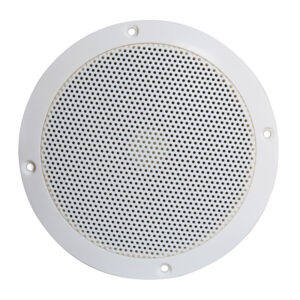 DS-295-296 Ceiling Speakers