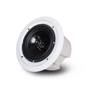 Internet ceiling speaker DS-665